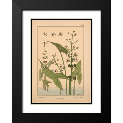 Plate 25 - Arrow-Head Black Modern Wood Framed Art Print with Double Matting by Vintage Apple Collection