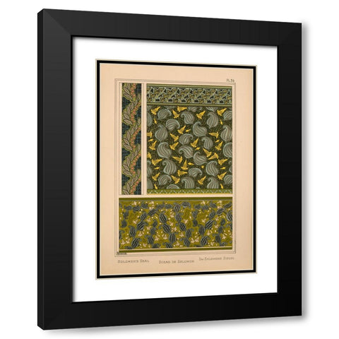 Plate 36 - Solomons Seal Black Modern Wood Framed Art Print with Double Matting by Vintage Apple Collection