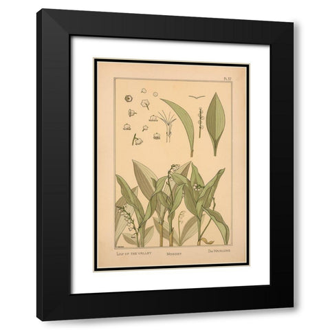 Plate 37 - Lily of the Valley Black Modern Wood Framed Art Print with Double Matting by Vintage Apple Collection