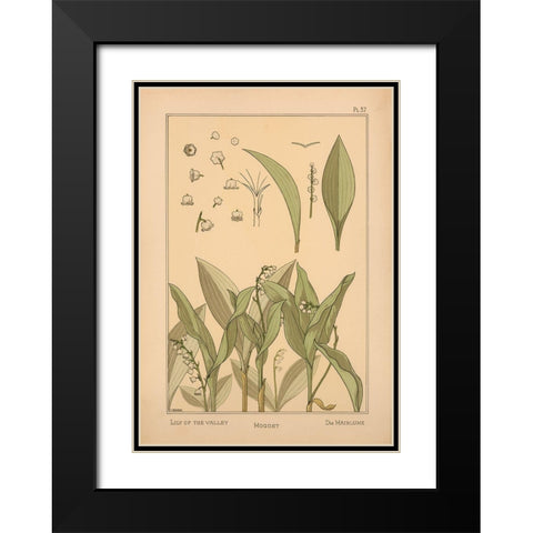Plate 37 - Lily of the Valley Black Modern Wood Framed Art Print with Double Matting by Vintage Apple Collection