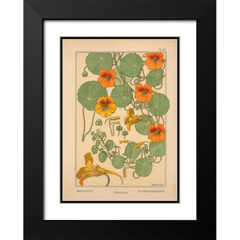 Plate 40 - Nasturtium Black Modern Wood Framed Art Print with Double Matting by Vintage Apple Collection