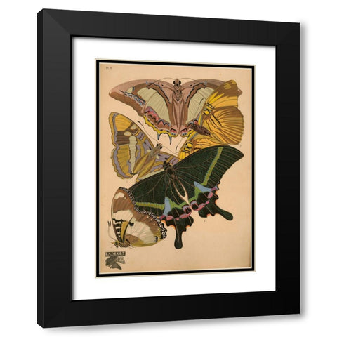 Plate 8 - Papillons Black Modern Wood Framed Art Print with Double Matting by Vintage Apple Collection
