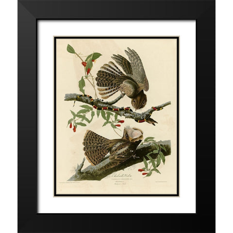 Chuck Wills Widow Black Modern Wood Framed Art Print with Double Matting by Vintage Apple Collection