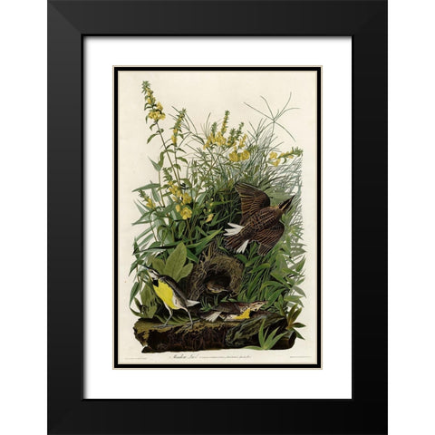 Meadow Lark Black Modern Wood Framed Art Print with Double Matting by Vintage Apple Collection