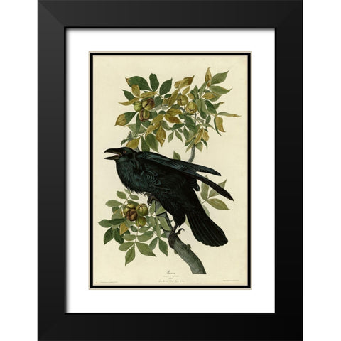 Raven Black Modern Wood Framed Art Print with Double Matting by Vintage Apple Collection