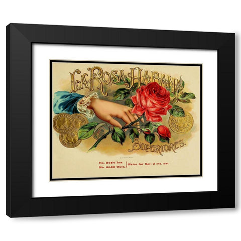 Larosa Habana Black Modern Wood Framed Art Print with Double Matting by Vintage Apple Collection