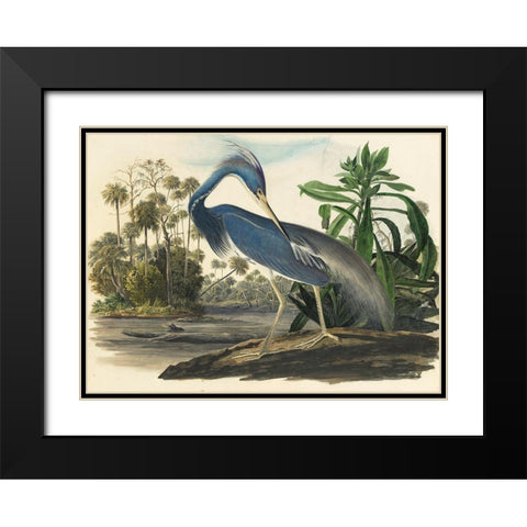 Blue Heron Black Modern Wood Framed Art Print with Double Matting by Vintage Apple Collection