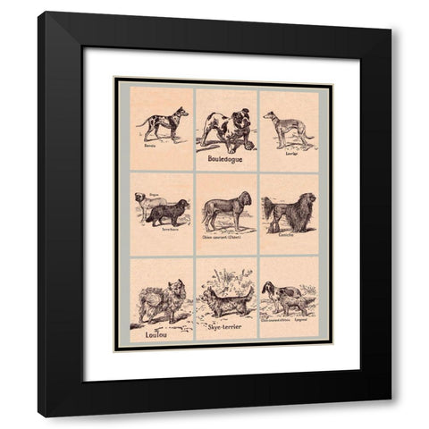 French Dogs Black Modern Wood Framed Art Print with Double Matting by Vintage Apple Collection