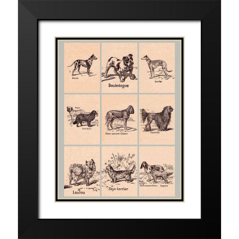 French Dogs Black Modern Wood Framed Art Print with Double Matting by Vintage Apple Collection