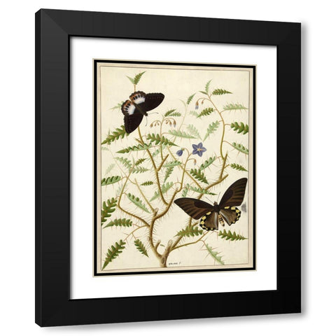 Flowers Twenty Black Modern Wood Framed Art Print with Double Matting by Vintage Apple Collection