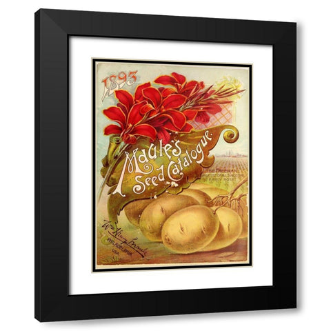 1893 Maules Seed Black Modern Wood Framed Art Print with Double Matting by Vintage Apple Collection