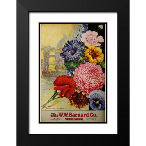 1926 Barnard Asters Black Modern Wood Framed Art Print with Double Matting by Vintage Apple Collection