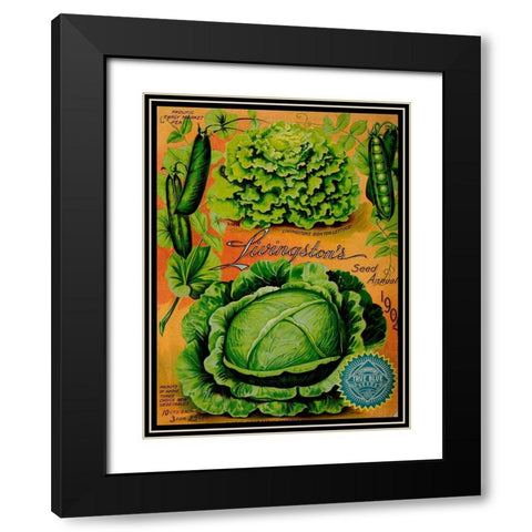 Annual Of True Blue Lettuce Black Modern Wood Framed Art Print with Double Matting by Vintage Apple Collection