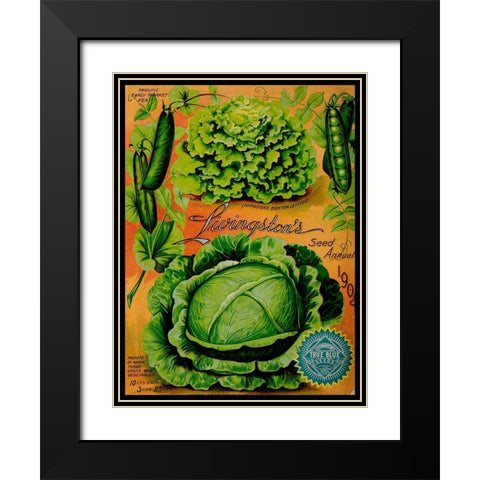 Annual Of True Blue Lettuce Black Modern Wood Framed Art Print with Double Matting by Vintage Apple Collection