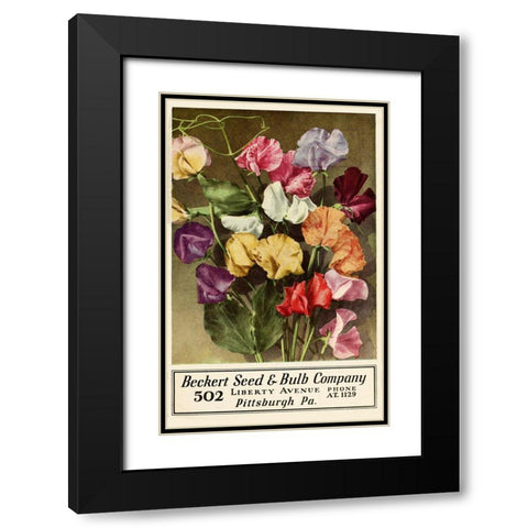 Becket Seed Black Modern Wood Framed Art Print with Double Matting by Vintage Apple Collection