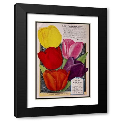 Childs Tulips Black Modern Wood Framed Art Print with Double Matting by Vintage Apple Collection