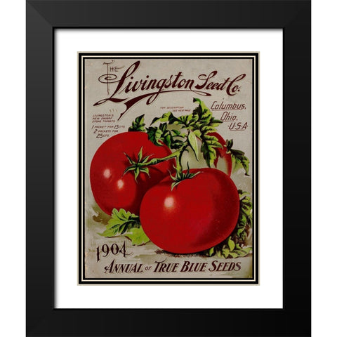 Livingston Tomato Black Modern Wood Framed Art Print with Double Matting by Vintage Apple Collection
