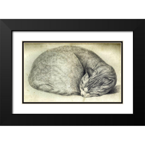 Sleeping Cat Black Modern Wood Framed Art Print with Double Matting by Vintage Apple Collection
