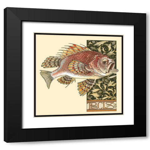 Seder Fish Black Modern Wood Framed Art Print with Double Matting by Vintage Apple Collection