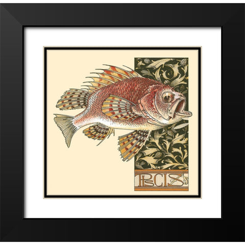 Seder Fish Black Modern Wood Framed Art Print with Double Matting by Vintage Apple Collection