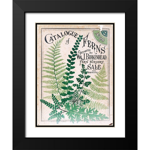 Ferns 2 Black Modern Wood Framed Art Print with Double Matting by Vintage Apple Collection