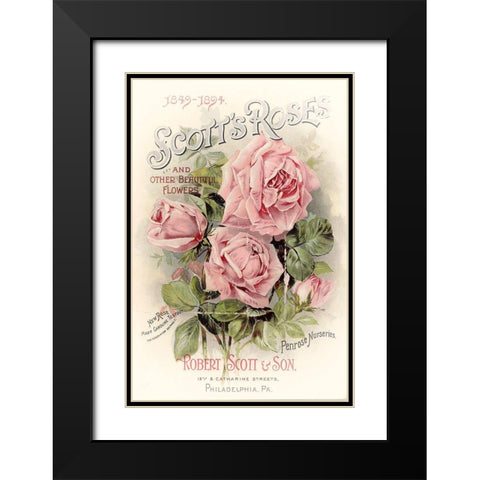 Scotts Roses Black Modern Wood Framed Art Print with Double Matting by Vintage Apple Collection