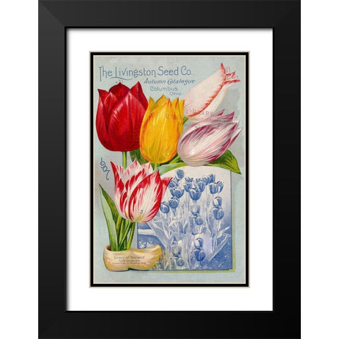 autumncatalogue-tulipes Black Modern Wood Framed Art Print with Double Matting by Vintage Apple Collection