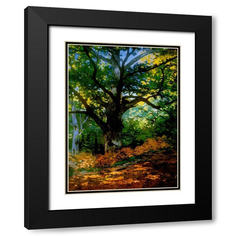 bodmer oak fountainbleau forest Black Modern Wood Framed Art Print with Double Matting by Vintage Apple Collection