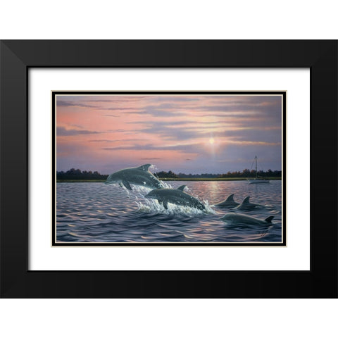 Dolphins Black Modern Wood Framed Art Print with Double Matting by Goebel, Wilhelm