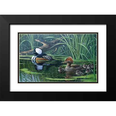 Merganser Black Modern Wood Framed Art Print with Double Matting by Goebel, Wilhelm