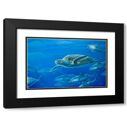 Sea Turtle Black Modern Wood Framed Art Print with Double Matting by Goebel, Wilhelm