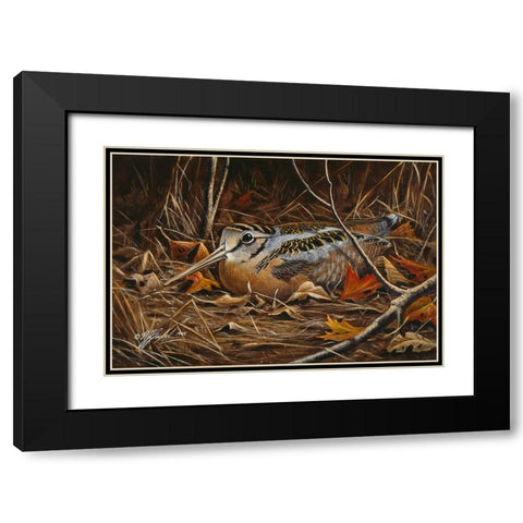 Woodcock In Hiding Black Modern Wood Framed Art Print with Double Matting by Goebel, Wilhelm