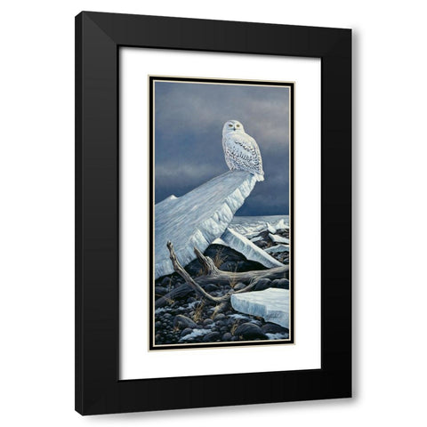 Lakeshore Ice Black Modern Wood Framed Art Print with Double Matting by Goebel, Wilhelm