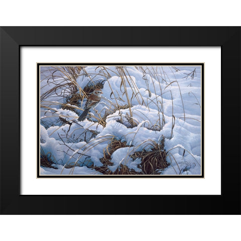 Snow Glow Field Sparrows Black Modern Wood Framed Art Print with Double Matting by Goebel, Wilhelm