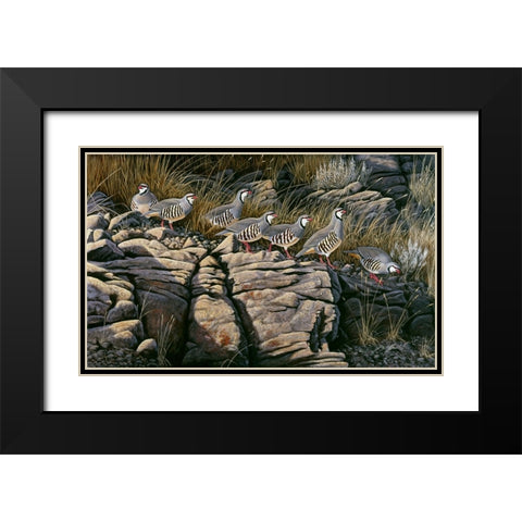 Rimrock Covey - Chukars Black Modern Wood Framed Art Print with Double Matting by Goebel, Wilhelm