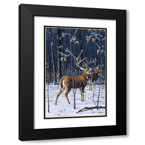 Buck In His Prime Black Modern Wood Framed Art Print with Double Matting by Goebel, Wilhelm
