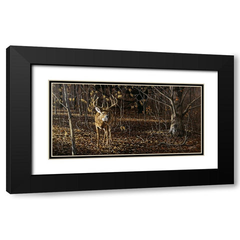 Sneaking Through - Whitetail Black Modern Wood Framed Art Print with Double Matting by Goebel, Wilhelm