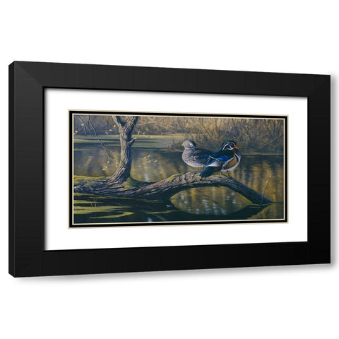 Spring Pair - Wood Ducks Black Modern Wood Framed Art Print with Double Matting by Goebel, Wilhelm