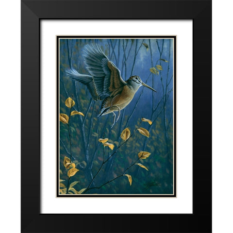 Woodcock On The Wing Black Modern Wood Framed Art Print with Double Matting by Goebel, Wilhelm