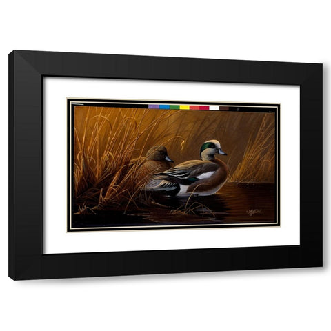 Widgeon In The Grass Black Modern Wood Framed Art Print with Double Matting by Goebel, Wilhelm