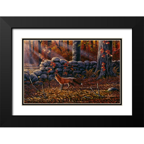 Autumn Reds - Red Fox Black Modern Wood Framed Art Print with Double Matting by Goebel, Wilhelm
