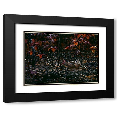 The Woodcocks World Black Modern Wood Framed Art Print with Double Matting by Goebel, Wilhelm