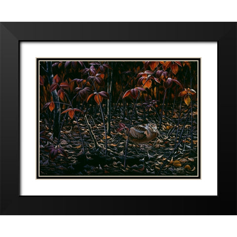 The Woodcocks World Black Modern Wood Framed Art Print with Double Matting by Goebel, Wilhelm