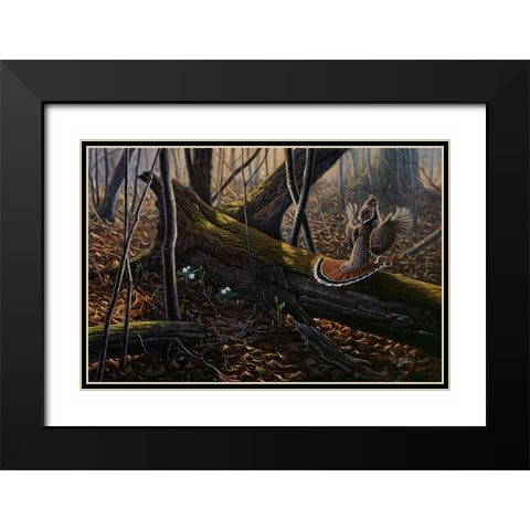 Thunder In The Woods Black Modern Wood Framed Art Print with Double Matting by Goebel, Wilhelm