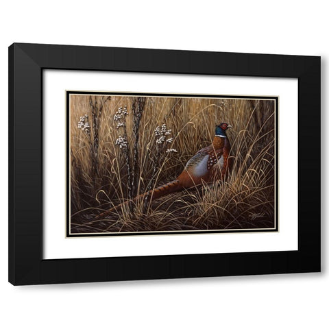 Pheasant In The Grass 2 Black Modern Wood Framed Art Print with Double Matting by Goebel, Wilhelm