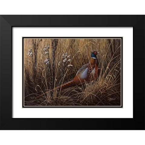 Pheasant In The Grass 2 Black Modern Wood Framed Art Print with Double Matting by Goebel, Wilhelm