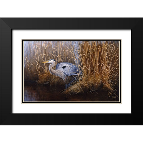Set In Gold - Great Blue Heron Black Modern Wood Framed Art Print with Double Matting by Goebel, Wilhelm