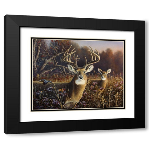 Deer Black Modern Wood Framed Art Print with Double Matting by Goebel, Wilhelm
