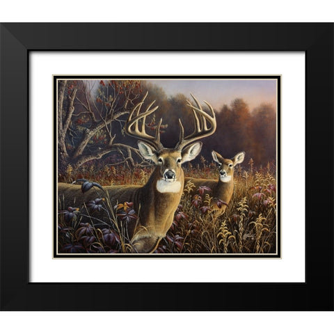 Deer Black Modern Wood Framed Art Print with Double Matting by Goebel, Wilhelm