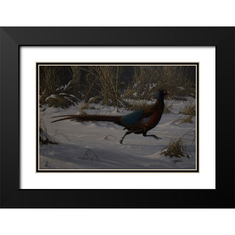 Strauch Pheasant Black Modern Wood Framed Art Print with Double Matting by Goebel, Wilhelm
